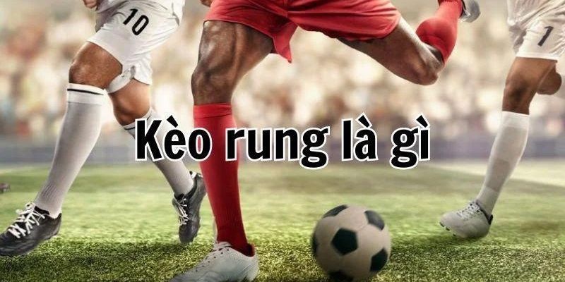 Kèo Running đánh rung – Chia sẻ cách đặt cược cho người mới - hình ảnh - zqhynfygh.top Kèo Running đánh rung – Chia sẻ cách đặt cược cho người mới - hình ảnh - zqhynfygh.top