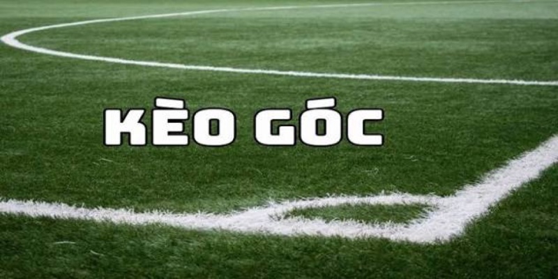 Kinh nghiệm soi kèo phạt góc tăng cơ hội bắt cược chuẩn xác - hình ảnh - zqhynfygh.top Kinh nghiệm soi kèo phạt góc tăng cơ hội bắt cược chuẩn xác - hình ảnh - zqhynfygh.top