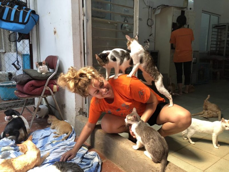 Mơ thấy mèo – Luận giải ý nghĩa và các cặp số đi kèm - hình ảnh - zqhynfygh.top Mơ thấy mèo – Luận giải ý nghĩa và các cặp số đi kèm - hình ảnh - zqhynfygh.top